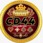 CD444 Game