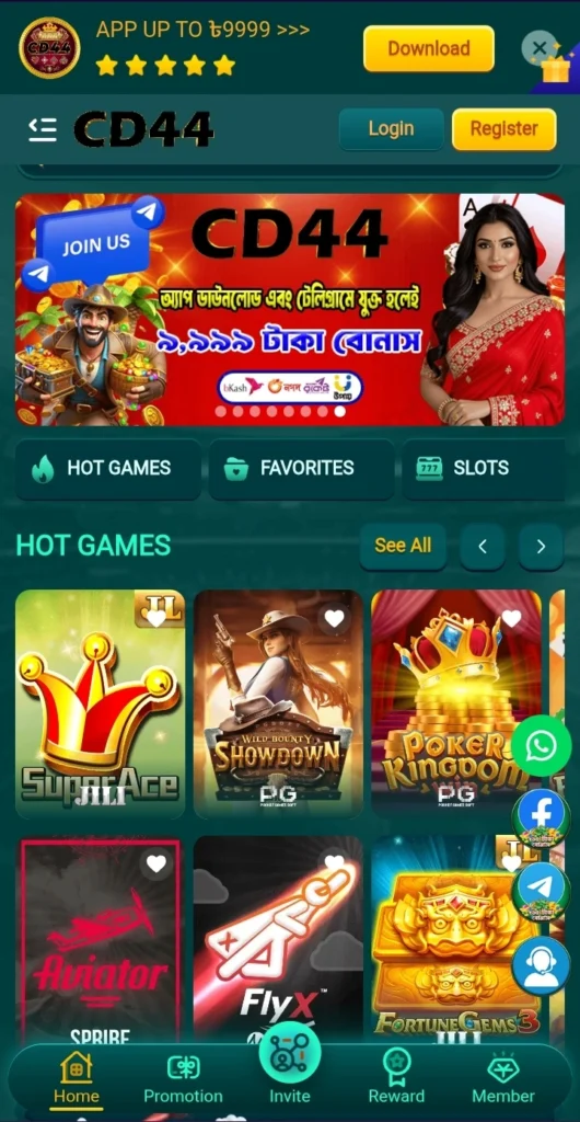 CD444 Game