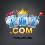 P67 Game
